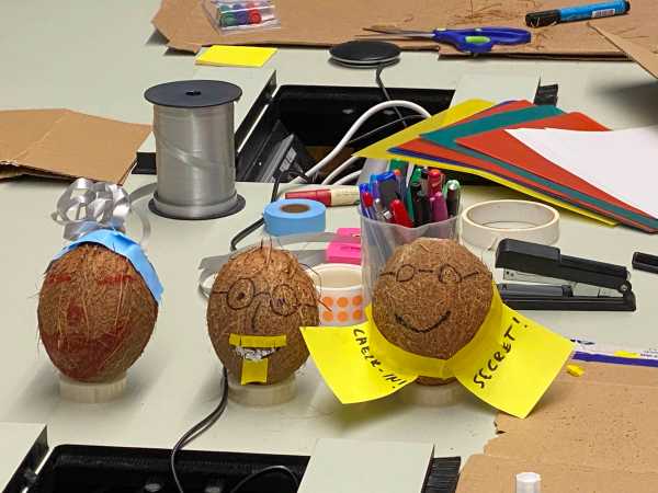 Secret_event_coconut